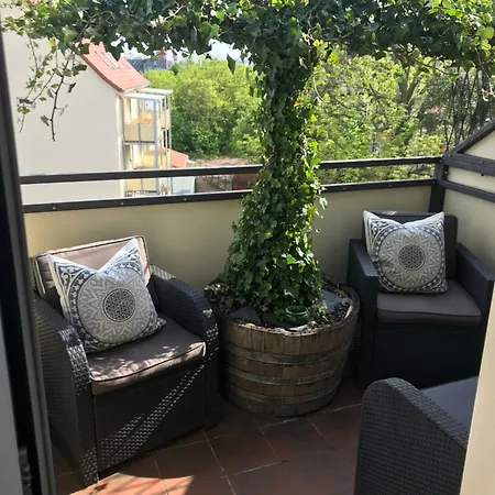 Apartment Stadtdschungel Mit Balkon
