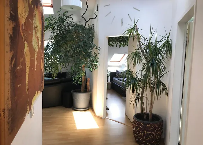 Stadtdschungel Mit Balkon *